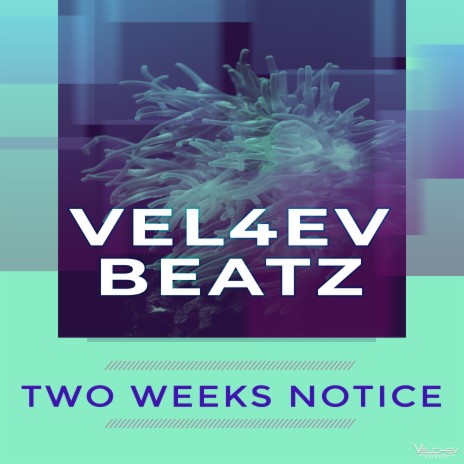 Two Weeks Notice | Boomplay Music