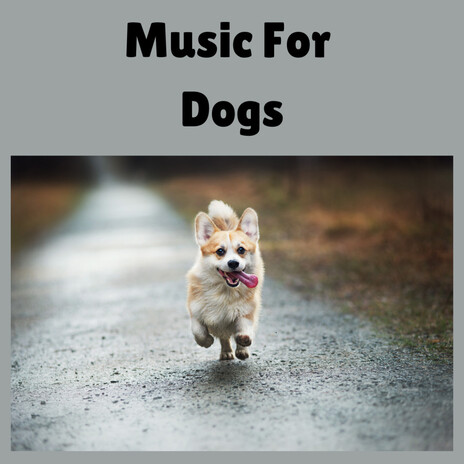 Dog Instrumental Music ft. Music For Dogs Peace, Relaxing Puppy Music & Calm Pets Music Academy