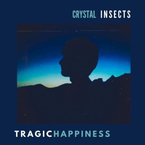 CRYSTAL INSECTS