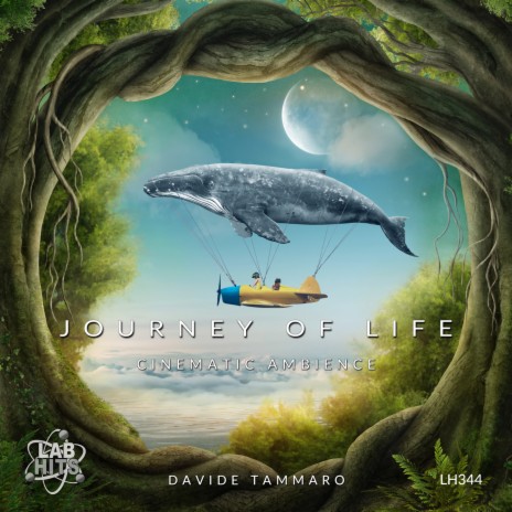 Journey Of Life | Boomplay Music