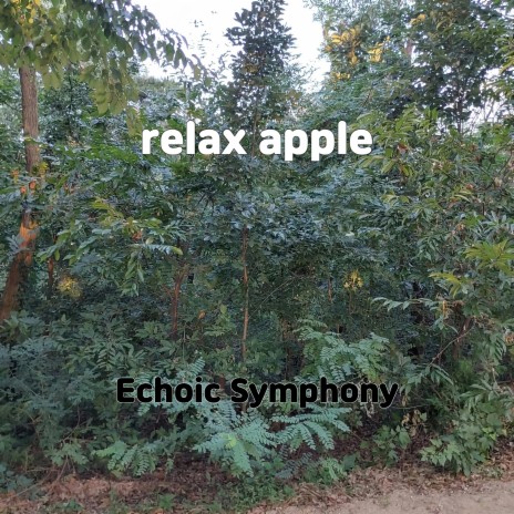 relax apple | Boomplay Music