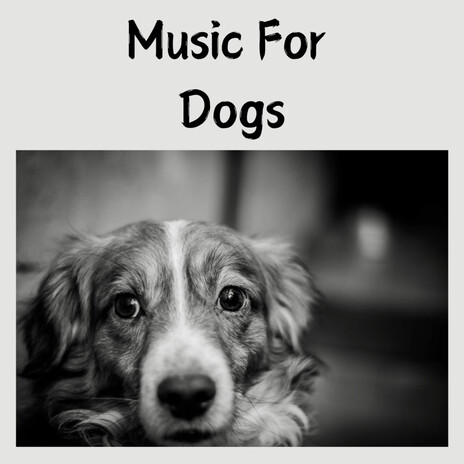 Doggy Daydreams ft. Music For Dogs Peace, Relaxing Puppy Music & Calm Pets Music Academy