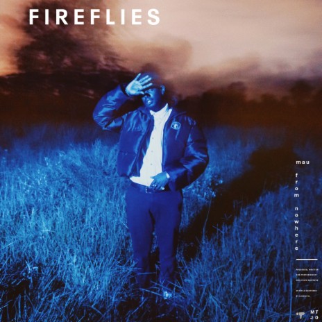 Fireflies | Boomplay Music