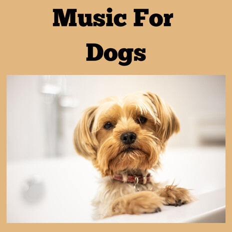 Doggy Jams ft. Music For Dogs Peace, Relaxing Puppy Music & Calm Pets Music Academy