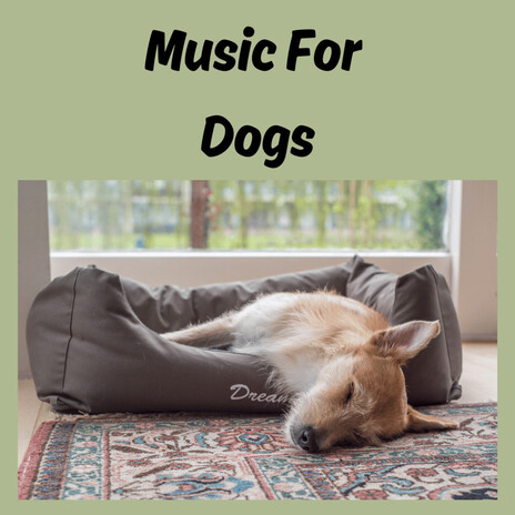Sleepy Head ft. Music For Dogs Peace, Relaxing Puppy Music & Calm Pets Music Academy | Boomplay Music