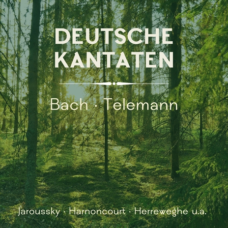 Gott soll allein mein Herze haben, BWV 169: V. Aria. Stirb in mir (Counter-Tenor) ft. Paul Esswood & Concentus musicus Wien | Boomplay Music