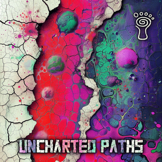 Uncharted Paths