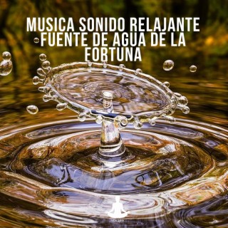Musica sonido relajante fuente de agua de la fortuna