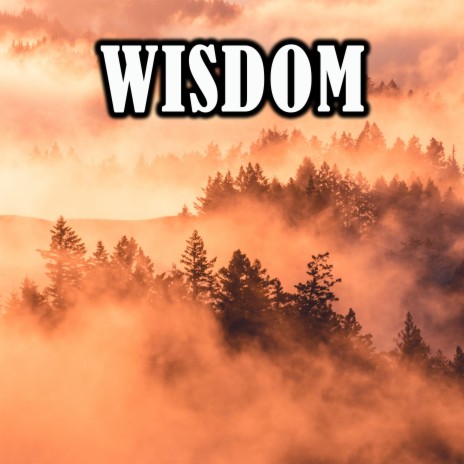 Wisdom V2 | Boomplay Music