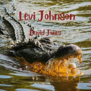 Levi Johnson lyrics | Boomplay Music