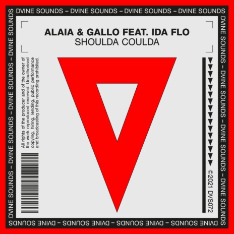 Shoulda Coulda (Original Mix) ft. IDA fLO | Boomplay Music