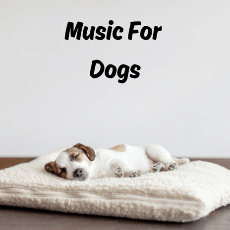 Chill Sleep ft. Music For Dogs Peace, Relaxing Puppy Music & Calm Pets Music Academy