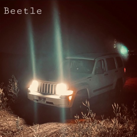 Beetle | Boomplay Music