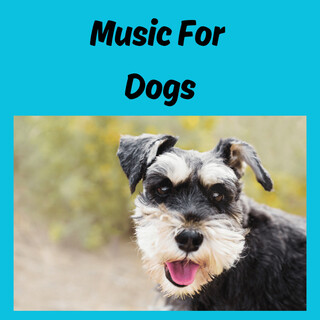 Music For Dogs