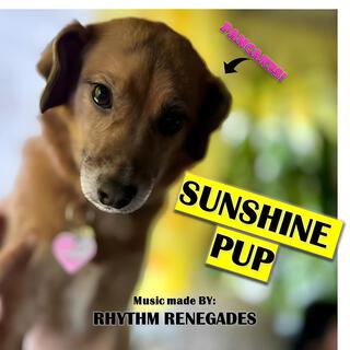 Sunshine Pup lyrics | Boomplay Music