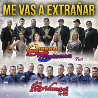 Me Vas A Extrañar