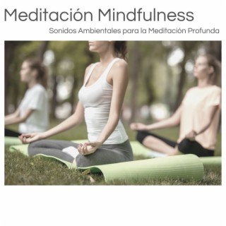 Meditación Mindfulness: Sonidos Ambientales para la Meditación Profunda