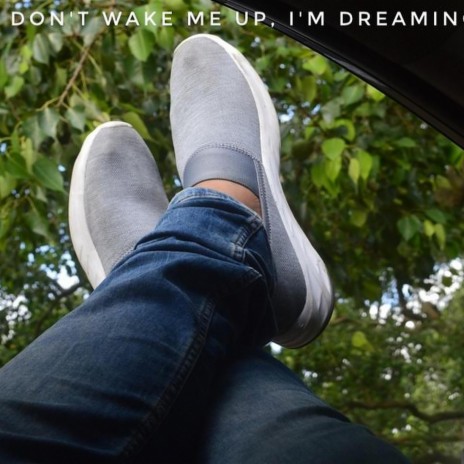 don't wake me up, i'm dreaming | Boomplay Music