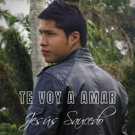 Te voy a amar | Boomplay Music