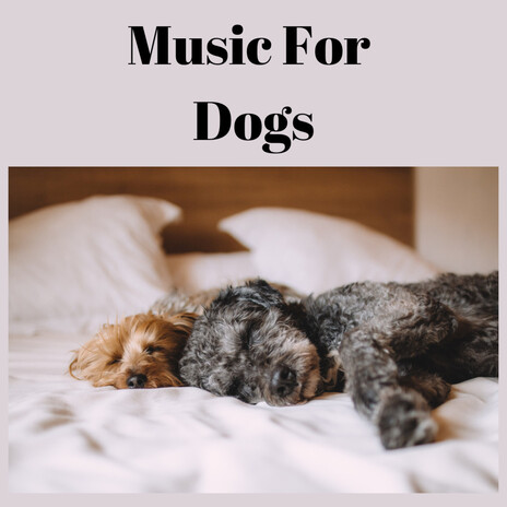 Sleep Trance ft. Music For Dogs Peace, Relaxing Puppy Music & Calm Pets Music Academy