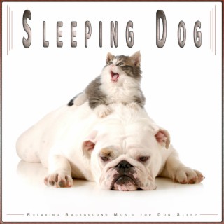 Sleeping Dog: Relaxing Background Music for Dog Sleep