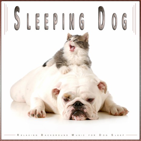 Dog Sleeping Music ft. Dog Music Dreams & Dog Music | Boomplay Music
