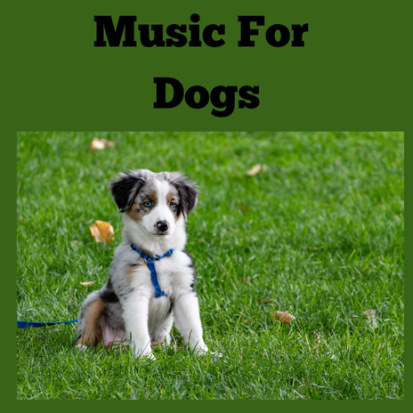 Anxious Puppy ft. Music For Dogs Peace, Relaxing Puppy Music & Calm Pets Music Academy