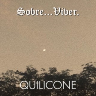 Quilicone