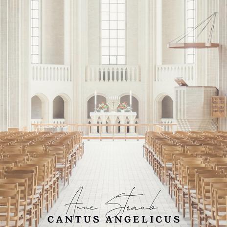 Cantus Angelicus | Boomplay Music