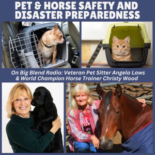 Pet & Horse Safety and Disaster Preparedness