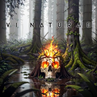 Vi Naturae