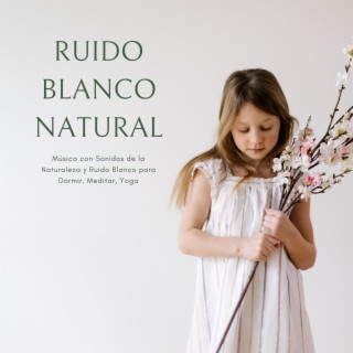 Ruido Blanco Natural: Música con Sonidos de la Naturaleza y Ruido Blanco para Dormir, Meditar, Yoga