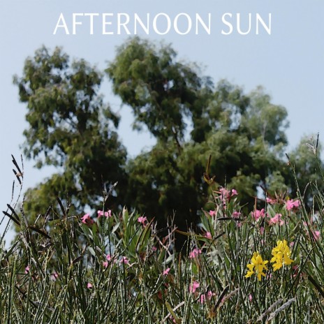Afternoon Sun | Boomplay Music