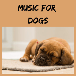 Music For Dogs