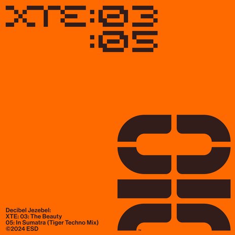 X.T.E: 03: The Beauty: 05: In Sumatra (Tiger Techno Mix) | Boomplay Music