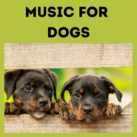 Soft Ears ft. Music For Dogs Peace, Relaxing Puppy Music & Calm Pets Music Academy