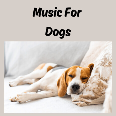 Gentle Sleep Music ft. Music For Dogs Peace, Relaxing Puppy Music & Calm Pets Music Academy