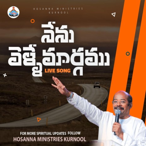 Nenu Velle Maargamu (Live Song) (Live) | Boomplay Music