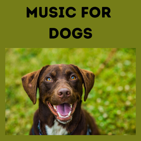 Relaxing Music For Dogs ft. Music For Dogs Peace, Relaxing Puppy Music & Calm Pets Music Academy
