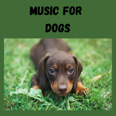 Scared Puppy ft. Music For Dogs Peace, Relaxing Puppy Music & Calm Pets Music Academy