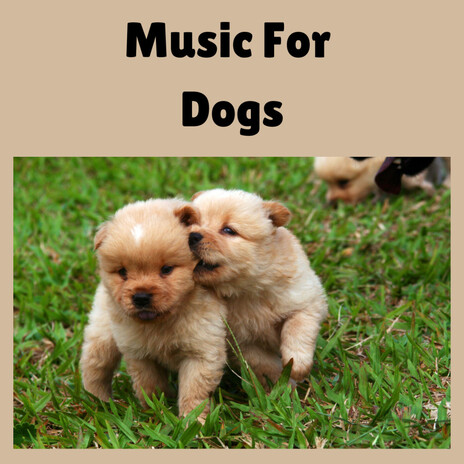 Soft Puppy Music ft. Music For Dogs Peace, Relaxing Puppy Music & Calm Pets Music Academy