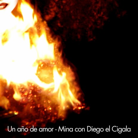 Un Año De Amor ft. Diego el Cigala
