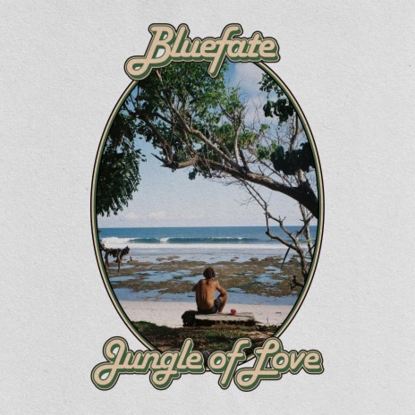 Jungle Of Love | Boomplay Music