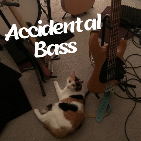 Accidental Bass | Boomplay Music