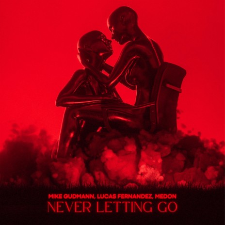Never Letting Go ft. Lucas Fernandez & Medon | Boomplay Music