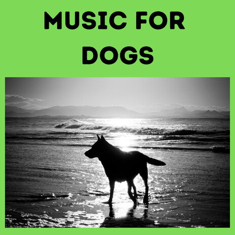 Doggy Cuddles ft. Music For Dogs Peace, Relaxing Puppy Music & Calm Pets Music Academy