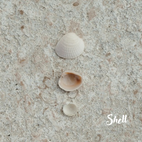 Shell N°6 ft. Soul Sigh | Boomplay Music