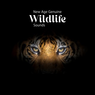 New Age Genuine Wildlife Sounds