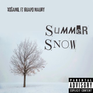 Summer Snow