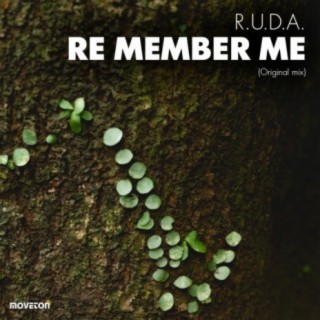 Re Member Me